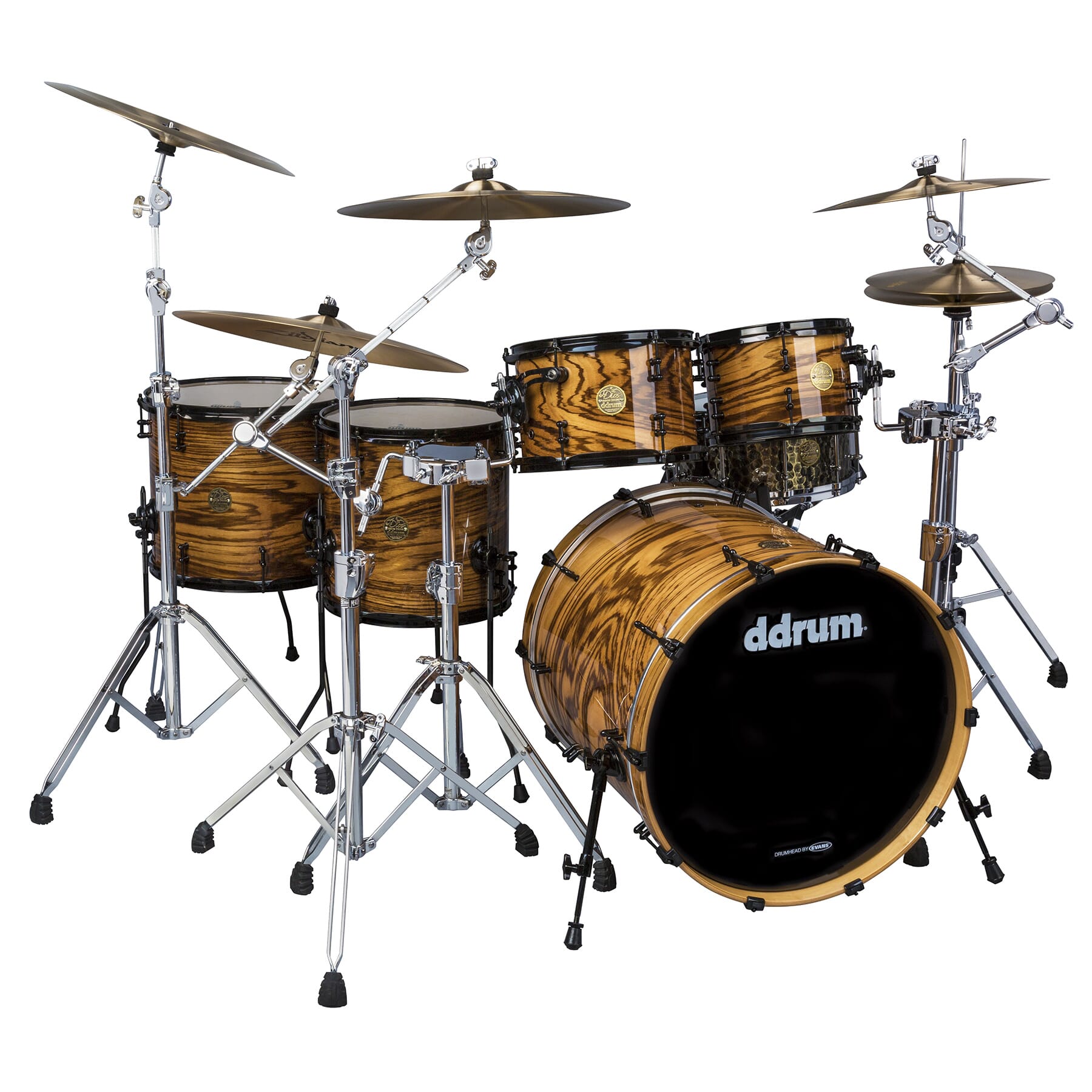 Dios Maple 5pc  with exotic zebra wood veneer shell pack