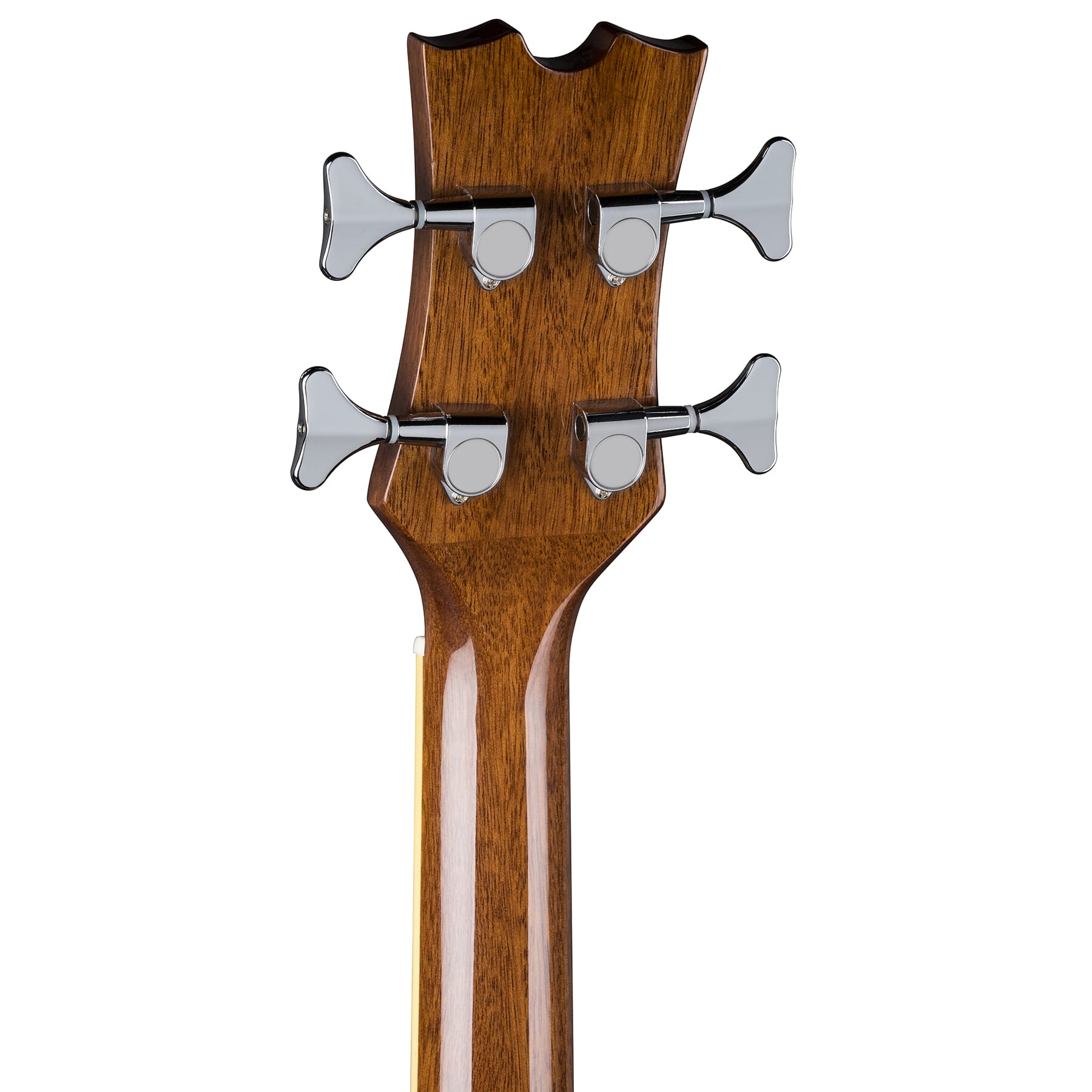 Acoustic/Electric Bass Fretless GN Dean Guitars