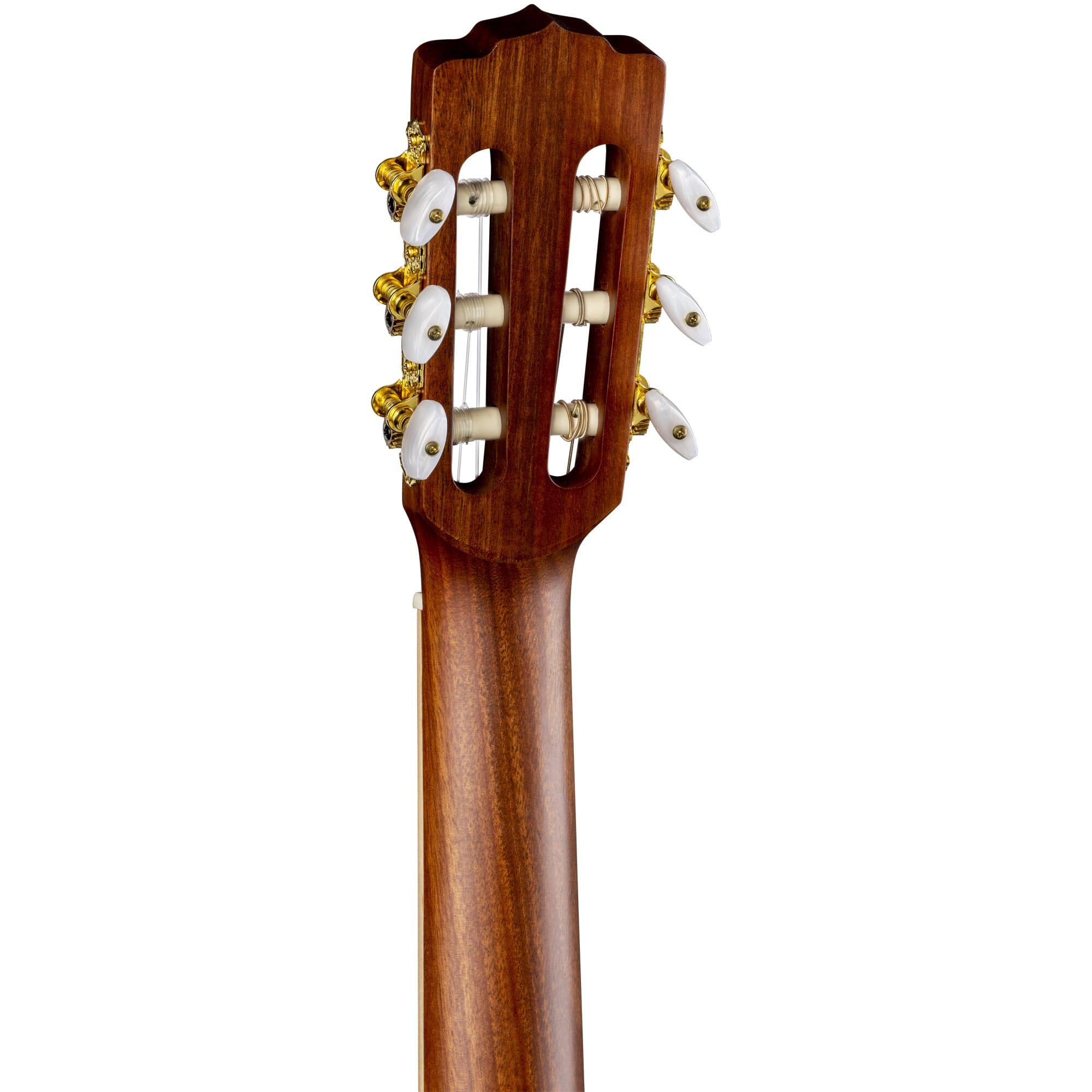 Luna Woodland Series Cedar Nylon