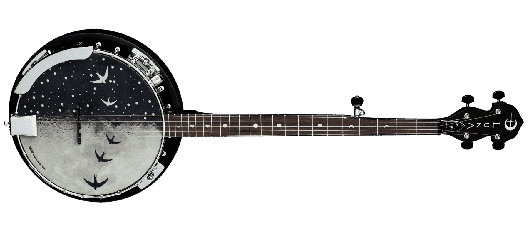 Best electric deals banjo