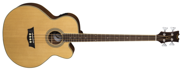 Acoustic/Electric Bass CAW - SN