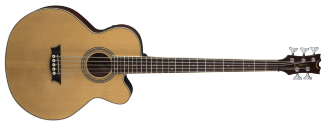Acoustic/Electric Bass CAW 5 String - SN