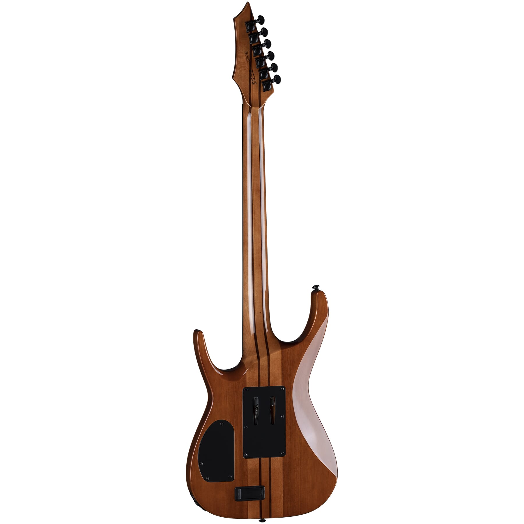 EXILE SELECT FLOYD NECK-THRU ARCHTOP GTBB | Dean Guitars